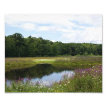 Field of Glory 10x8 Photograhpic Print