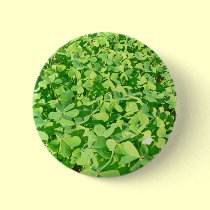 Field of green Clover leaves buttons