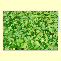 Field of green Clover leaves cards