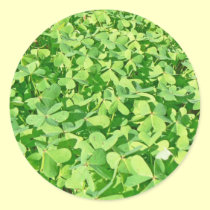 Field of green Clover leaves stickers