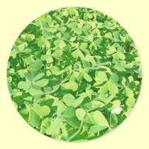 Field of green Clover leaves stickers