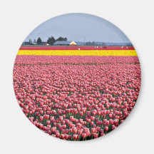 Field of Joy, Skagit Valley, Washington, U.S.A.  f Fridge Magnet