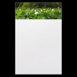 Field of Lotus Flowers Stationery