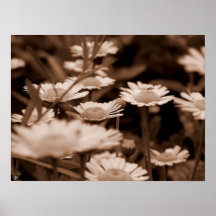 Field of Memories Print