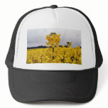 Field Of Oilseed Rape hats
