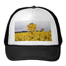 Field Of Oilseed Rape Trucker Hat