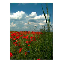 Field of poppies II posters by photomorgana Field of poppies II posters