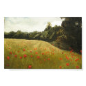 Field of Poppies in Muhumaa posters