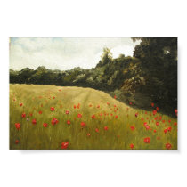 Field of Poppies in Muhumaa posters