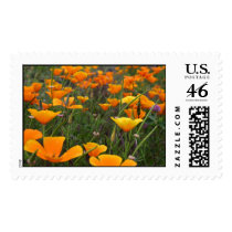 Field of Poppies postage by jenni_jones Field of Poppies postage