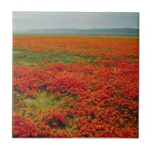 Field of Poppies Ceramic Tile