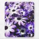 Field of Purple mousepads