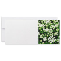 Field of Queen Anne's Lace Full Color Rack Card