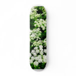 Field of Queen Anne's Lace Skate Decks