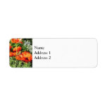 Field of Red Poppies Return Address Labels