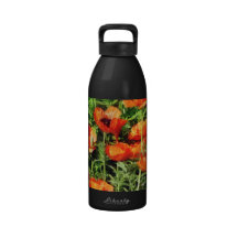 Field of Red Poppies Reusable Water Bottles