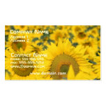 Field of Sunflowers Business Card