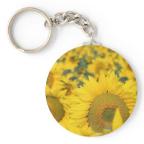 Field of Sunflowers Keychain