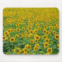 Field of Sunflowers Mouse Pad mousepads