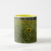 "FIELD OF SUNFLOWERS" mugs by crrfan "FIELD OF SUNFLOWERS" mugs