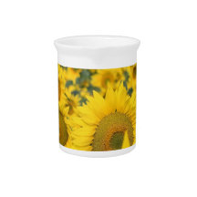 Field of Sunflowers Pitcher