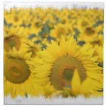 Field of Sunflowers Set of Four Napkins napkins