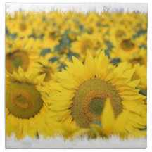 Field of Sunflowers Set of Four Napkins