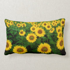 Field of Sunflowers Yellow Flowers Pillow