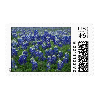 Field of Texas Bluebonnets Postage