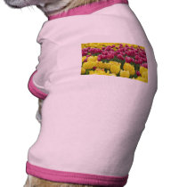 Field of Tulips pet clothing