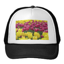 Field of Tulips hats