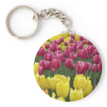 Field of Tulips keychains