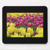 Field of Tulips mousepads