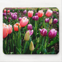 Field of Tulips mousepads