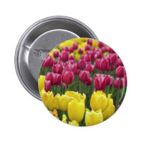 Field of Tulips buttons