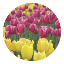 Field of Tulips stickers
