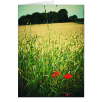 Field of wheat - Germany cards by fauxhemia Field of wheat - Germany cards