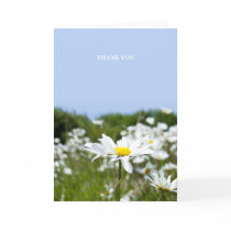 Field of White Daisies | Thank You Card