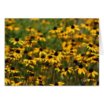 Field of Yellow Flowers cards by dhavatar Field of Yellow Flowers cards