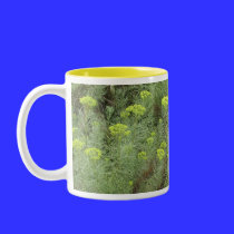 Field of Yellow flowers mugs