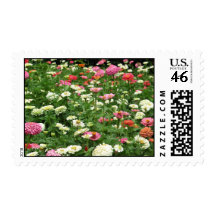Field of Zinnias Postage Stamp