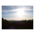 Field on a Sunny Day posters