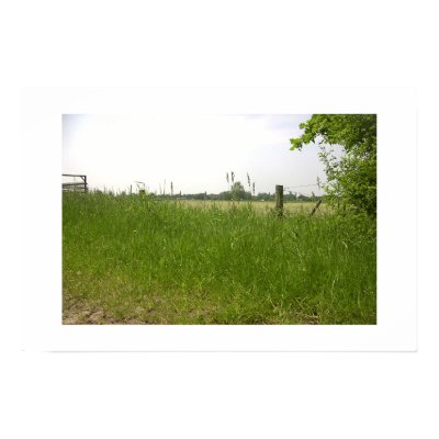 Field Poster by Johan_den_Hollander