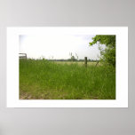 Field Poster