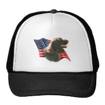 Field Spaniel Flag Mesh Hat