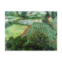 Field with Poppies, 1889 Postcard