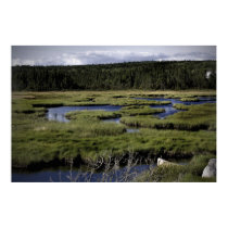 Fields and Streams fine art canvas print