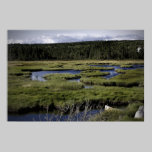 Fields and Streams fine art canvas print