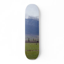 Fields Mountains Snow skateboards