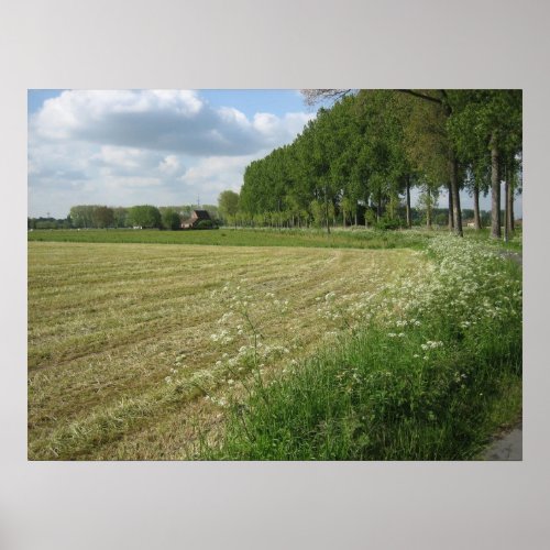 Fields of Flanders